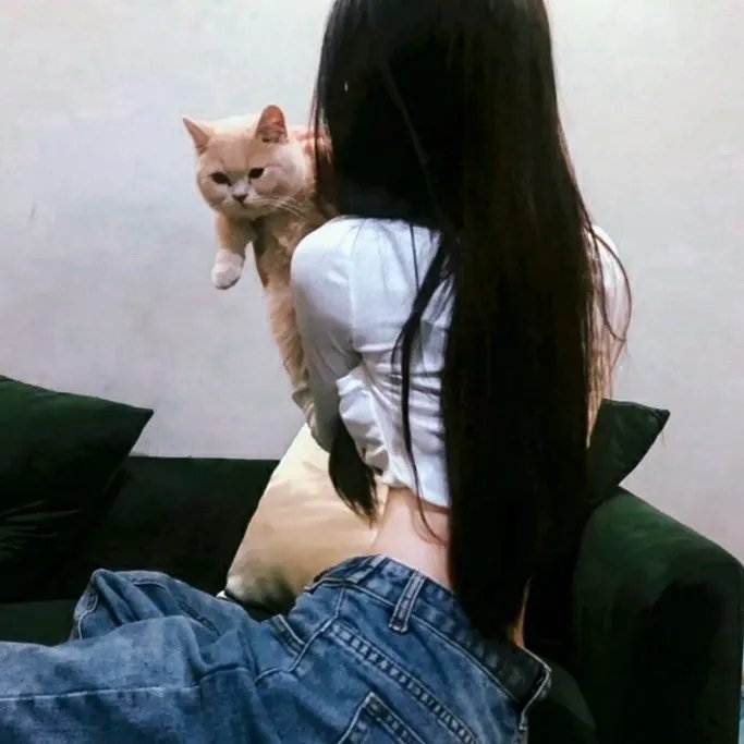 大梦西游